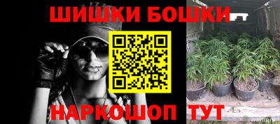 молекула духа Кулебаки