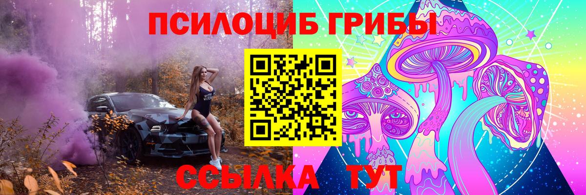 Гатчина  Галлюциногенные грибы Magic Shrooms  Вход с VPN  Псилоцибиновые грибы MAGIC MUSHROOMS 