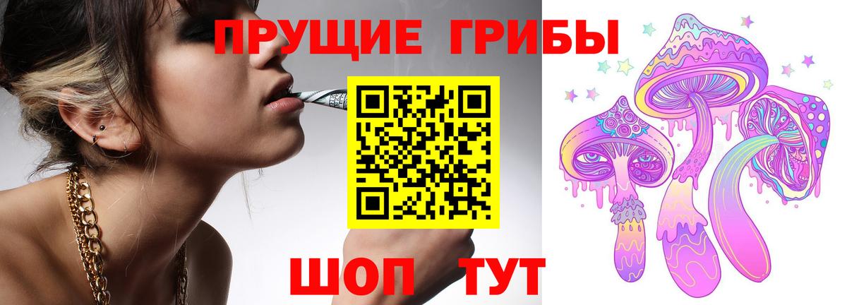 Галлюциногенные грибы Magic Shrooms Гатчина