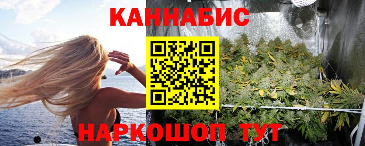 Бошки марихуана тримм  Бошки Шишки семена  Бошки Шишки гибрид  Бошки марихуана конопля  Вход с VPN  Гатчина 